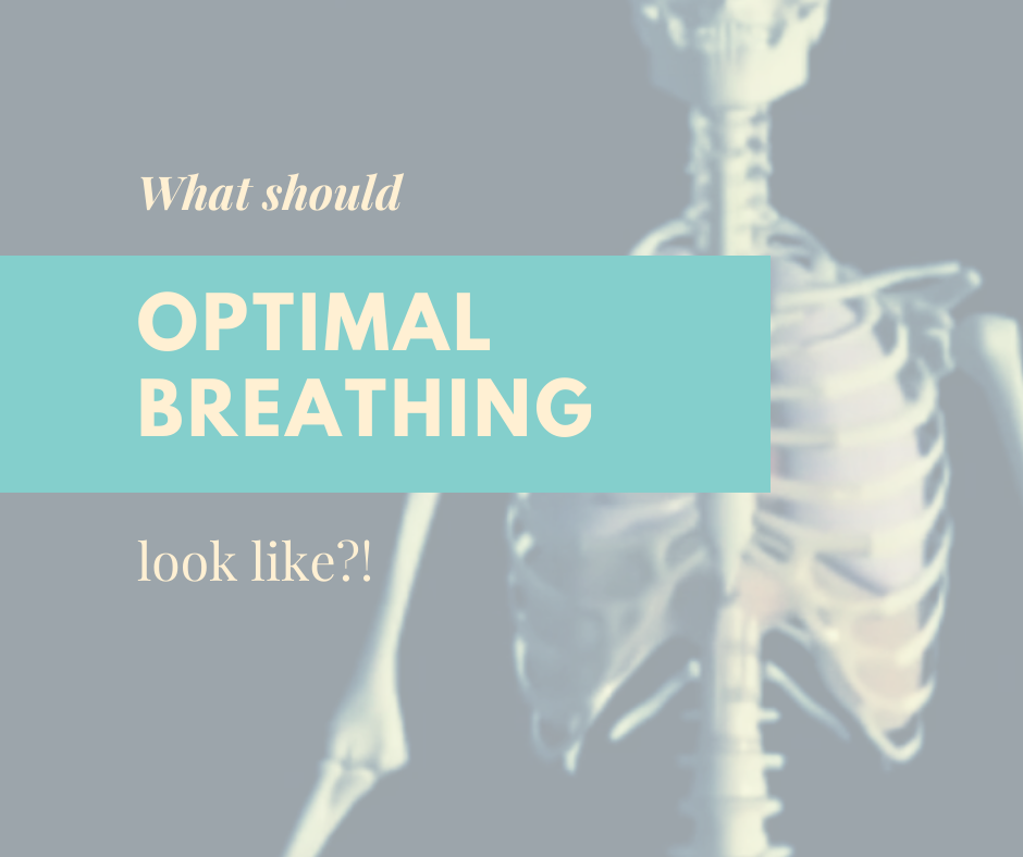 Optimal Breathing Why Is It Important Air Physiotherapy 