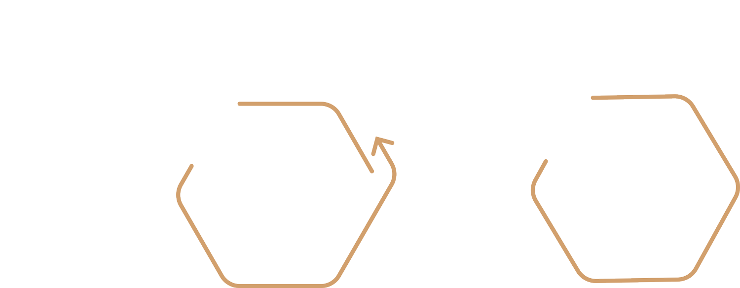 Our Pathway to Better Breathing