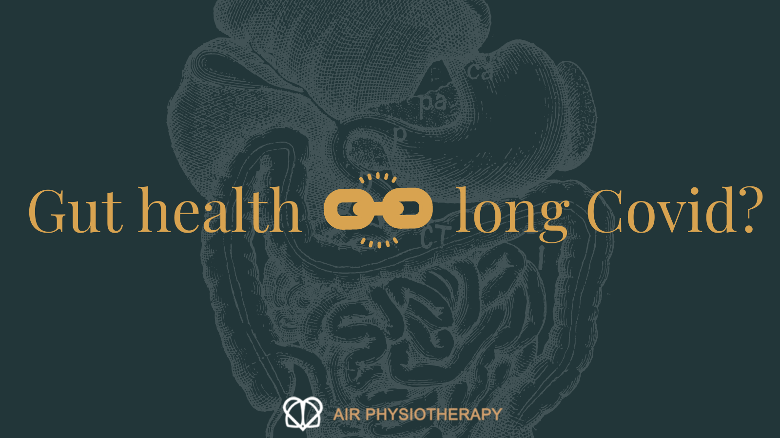 Gut health & long Covid