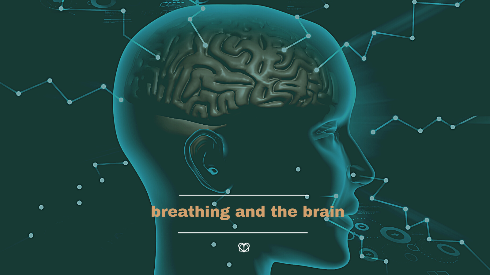 breathing & the brain